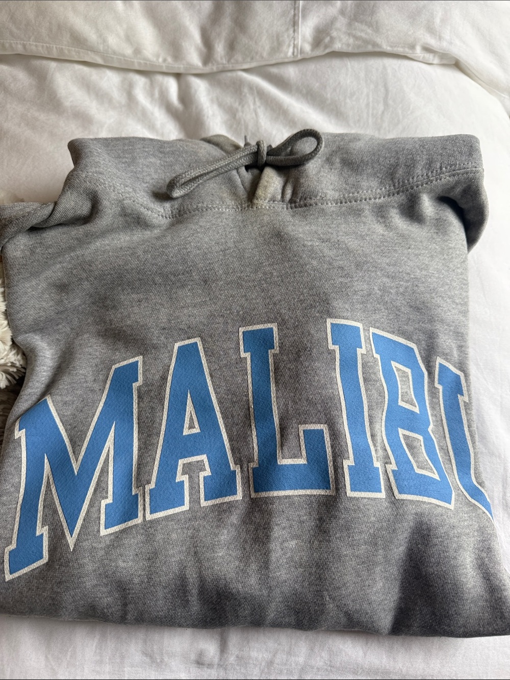 Brandy Melville hoodie